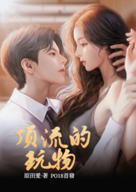 顶流的玩物 小说